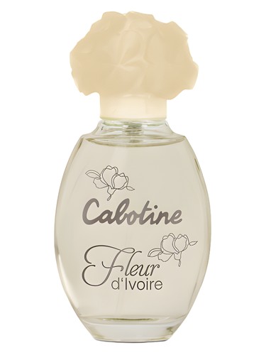 cabotine-fleur-d-ivoire