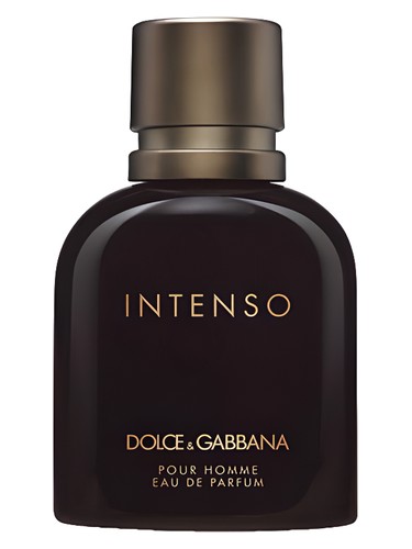 dolce-gabbana-pour-homme-intenso