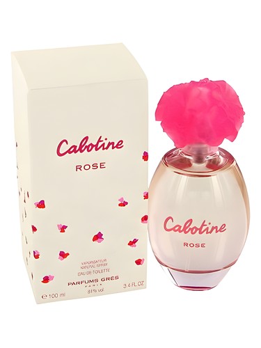 cabotine-rose