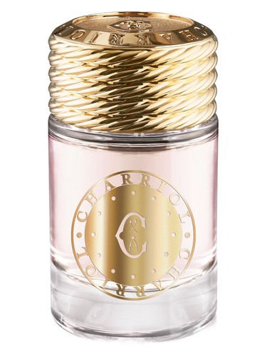 infinite-celtic-for-women