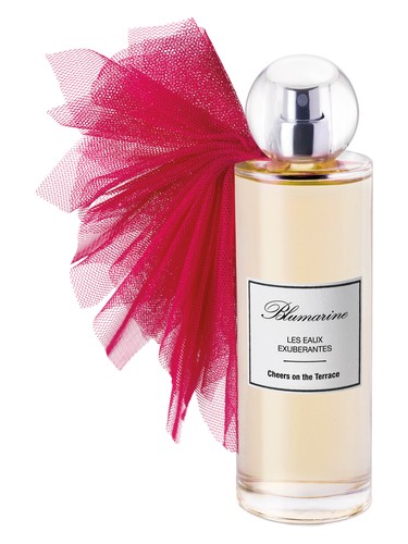 Cheers On The Terrace