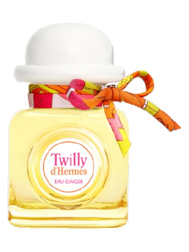 twilly-d-hermes-eau-ginger