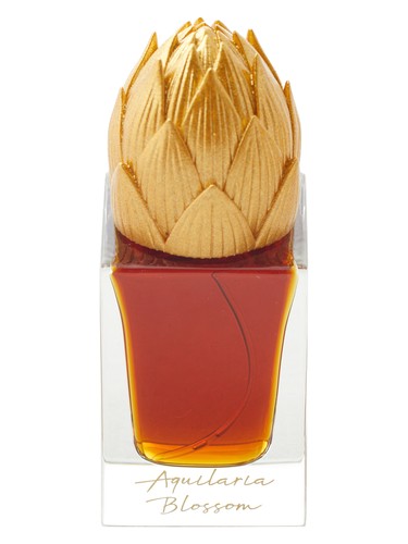 aquilaria-blossom