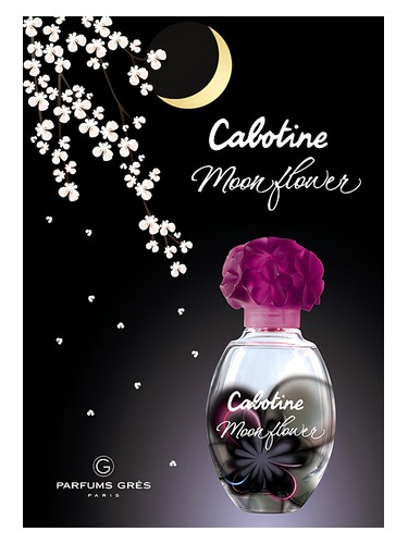 cabotine-moon-flower